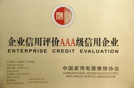 成都索尼產品技術服務中心 軟件開發驅動創新服務